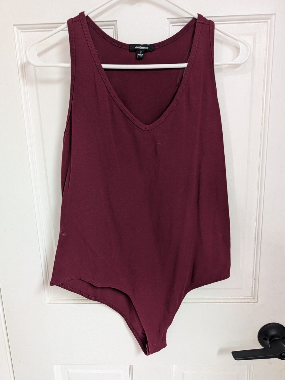 Ambiance Sleeveless V-Neck Bodysuit in Wine